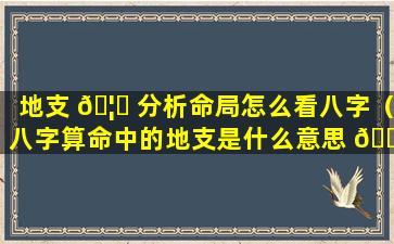 地支 🦊 分析命局怎么看八字（八字算命中的地支是什么意思 🐬 ）